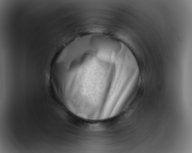 X0000088710309200706141453