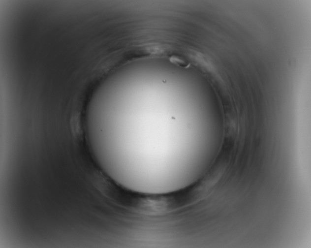 X0000088710317200706141453