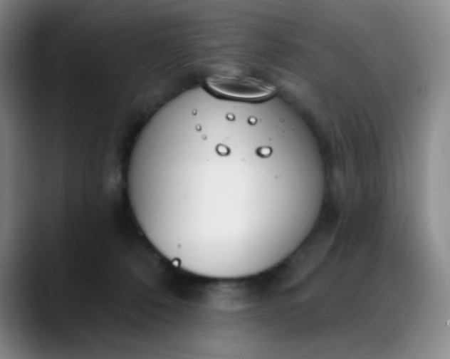 X0000088710320200706141453