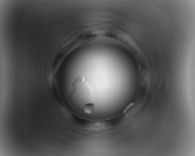 X0000088710329200706141453