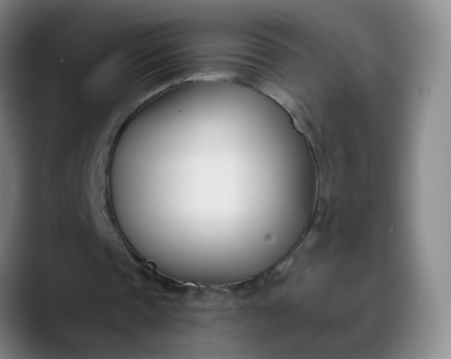 X0000088710337200706141452