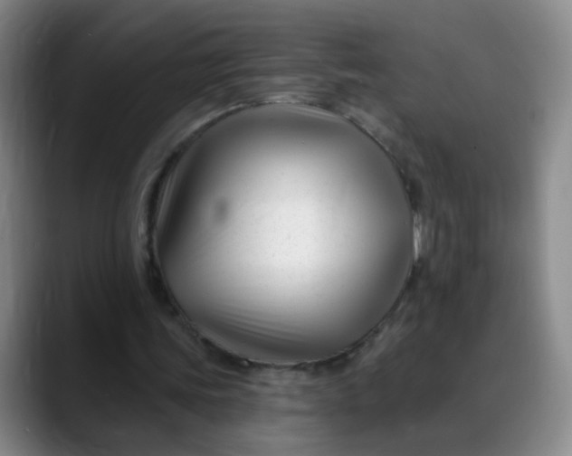 X0000088710339200706141452