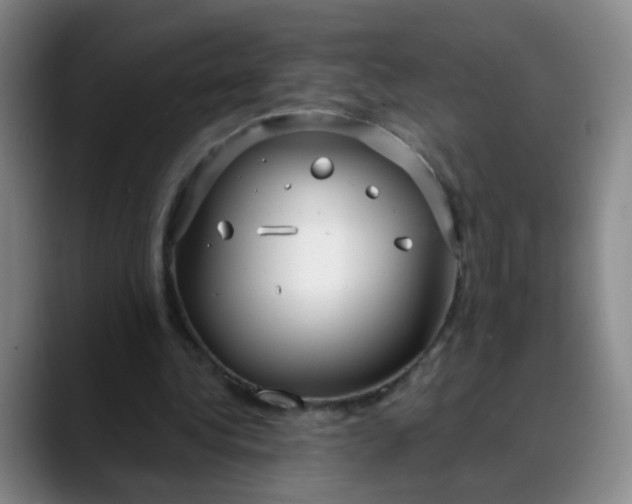 X0000088710340200706141452