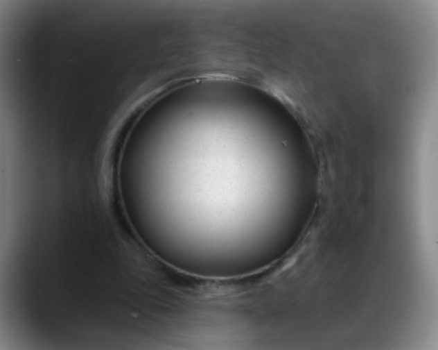 X0000088710343200706141452