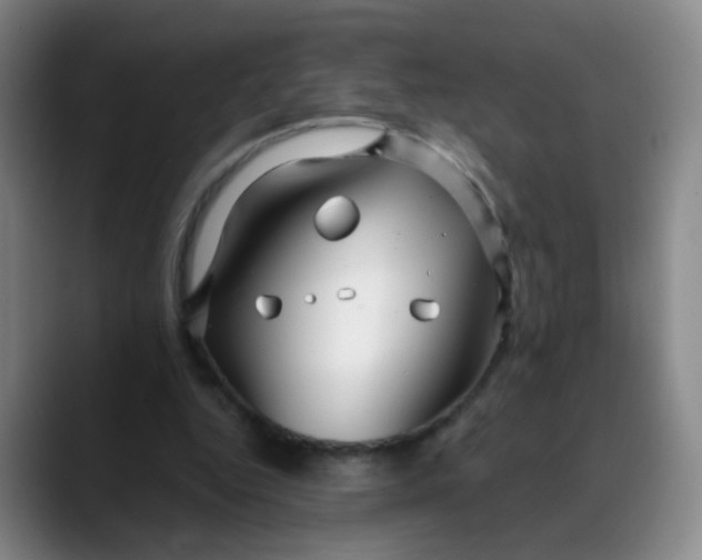 X0000088710344200706141452