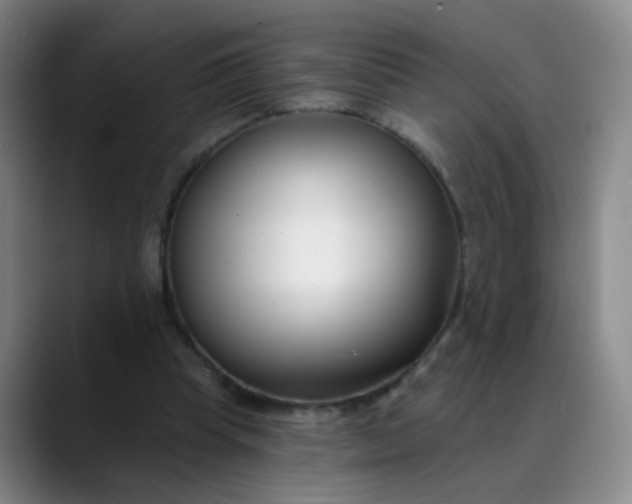 X0000088710345200706141452