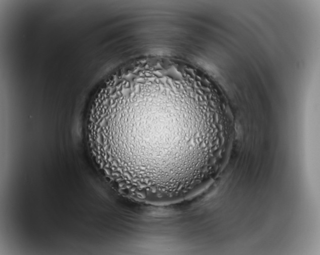 X0000088710347200706141452