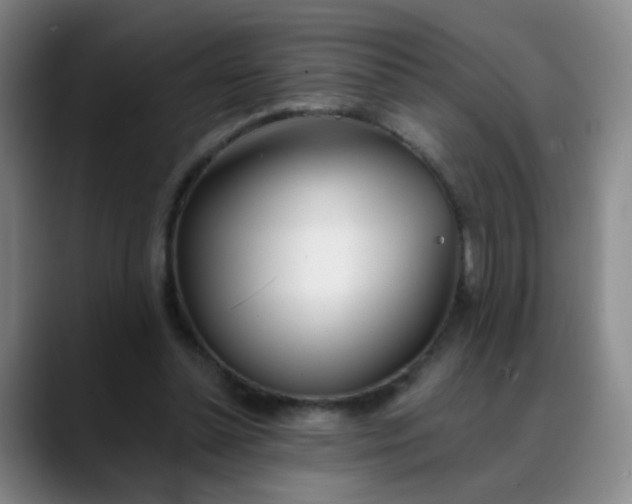 X0000088710348200706141452