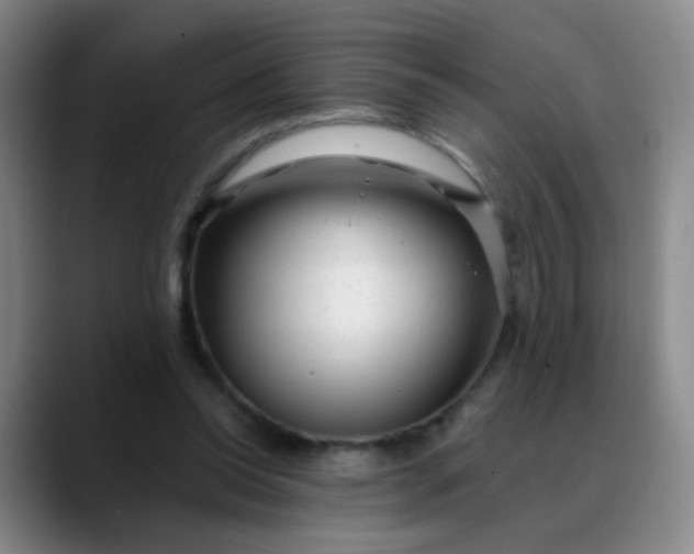 X0000088710350200706141452