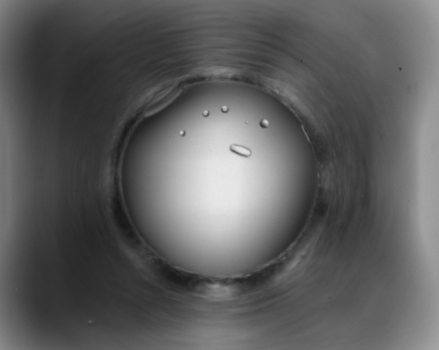 X0000088710352200706141453