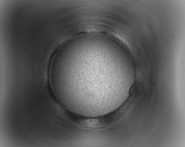 X0000088710353200706141453