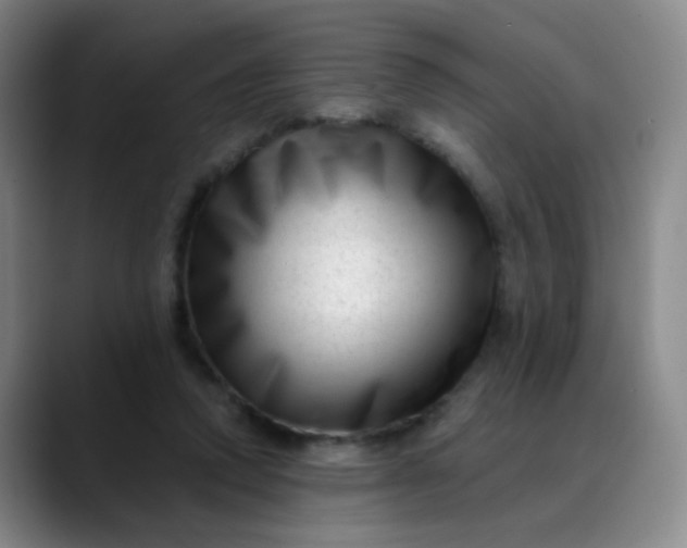 X0000088710354200706141453