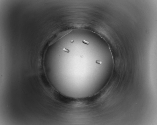 X0000088710356200706141453