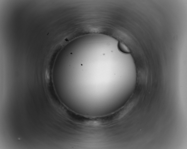 X0000088710358200706141453