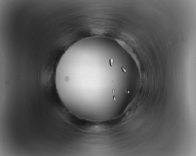 X0000088710364200706141453