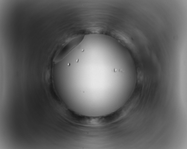 X0000088710365200706141453