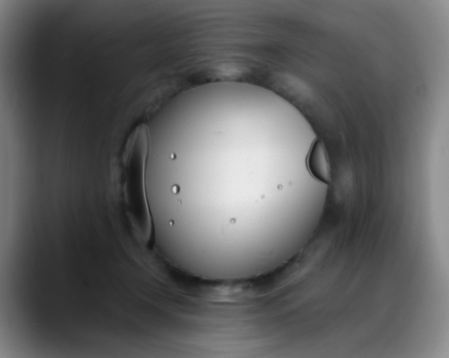 X0000088710366200706141453