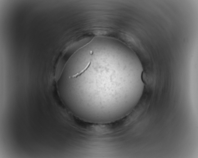 X0000088710367200706141453