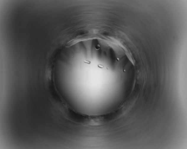 X0000088710368200706141453