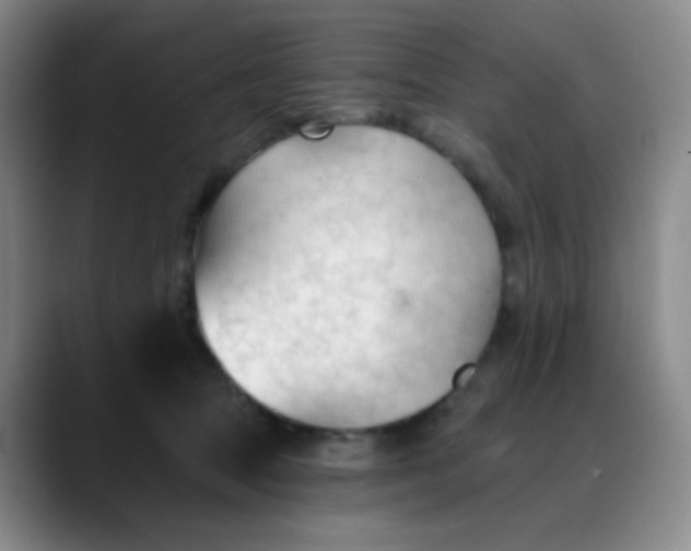 X0000088710369200706141453