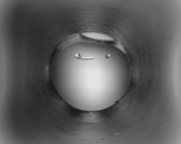 X0000088710378200706141453