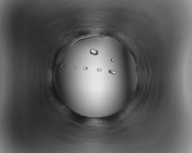 X0000088710380200706141453