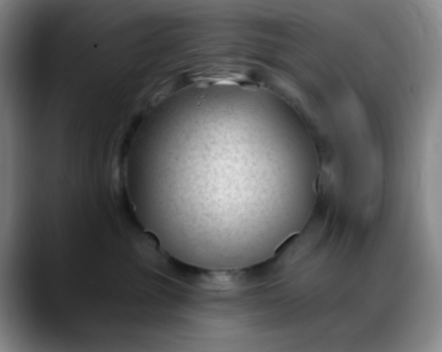 X0000088710381200706141453