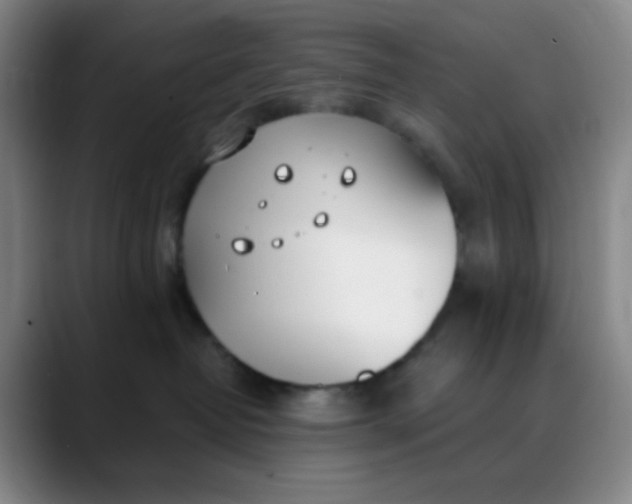 X0000088710382200706141453