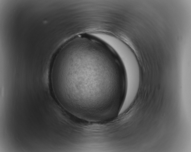 X0000088710387200706141452