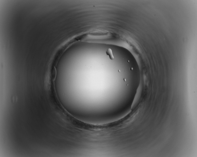 X0000088710388200706141452