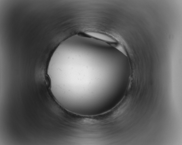 X0000088710393200706141452