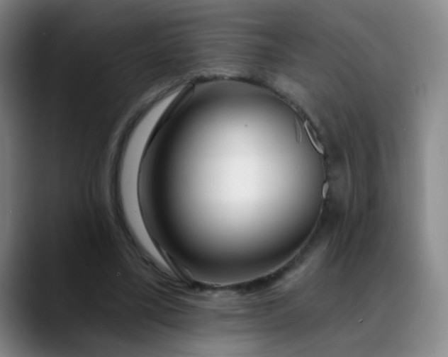 X0000088710395200706141452