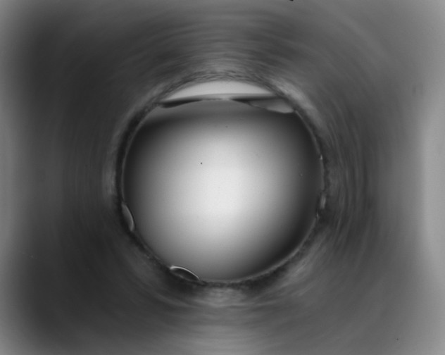 X0000088710399200706141452