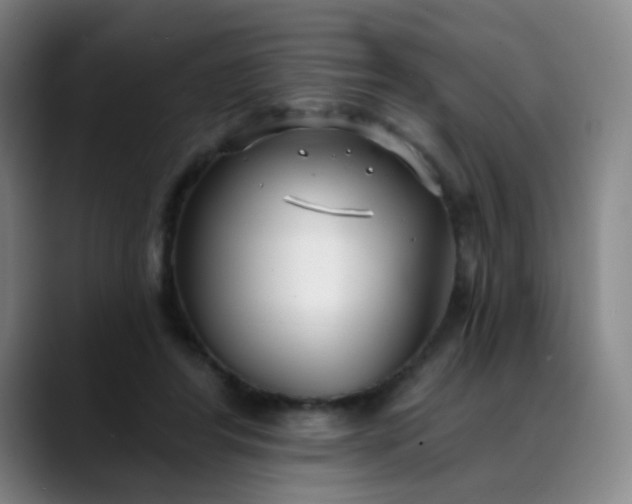 X0000088710404200706141452