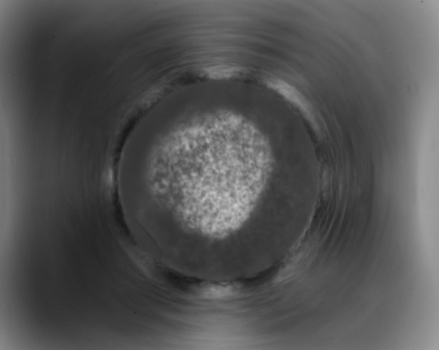 X0000088710405200706141452