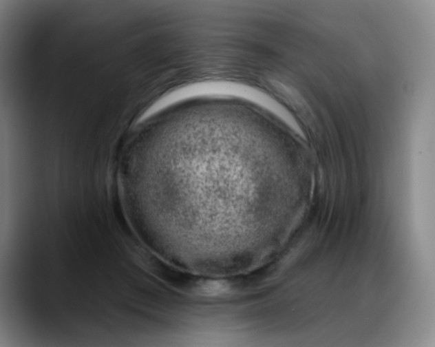 X0000088710409200706141452