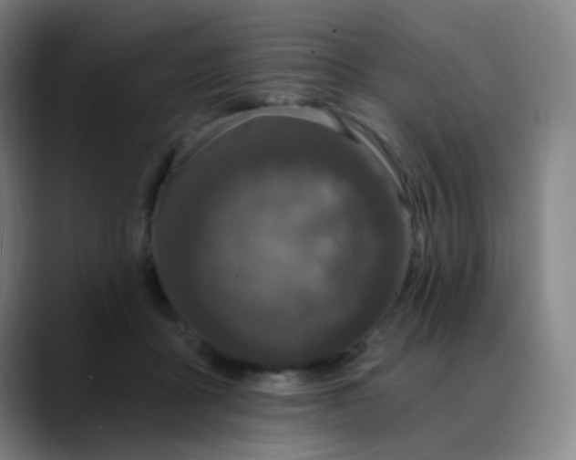 X0000088710411200706141452