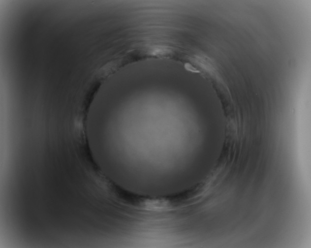 X0000088710415200706141452