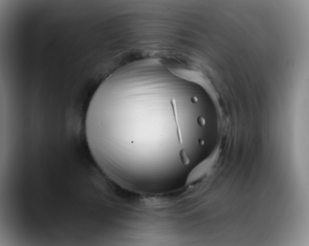 X0000088710417200706141452