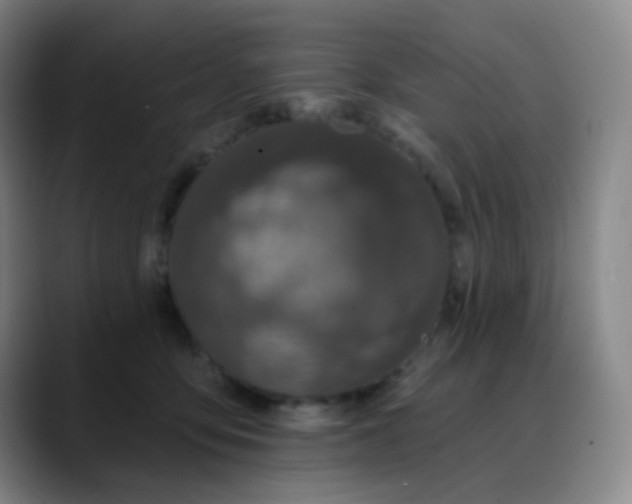 X0000088710419200706141452