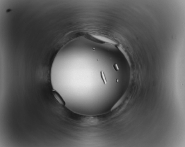 X0000088710421200706141452