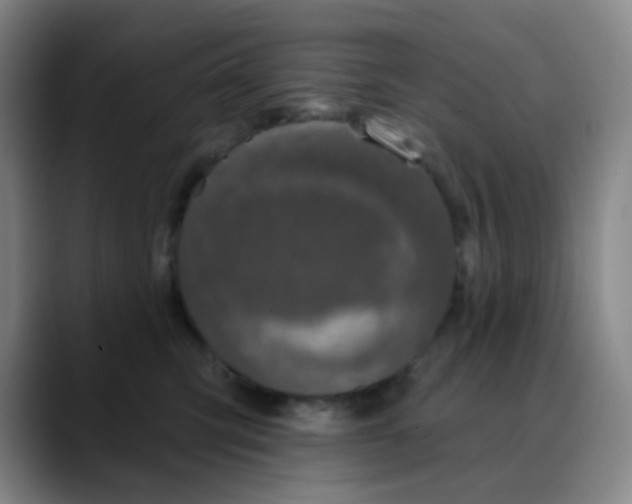 X0000088710423200706141452