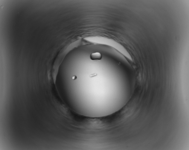 X0000088710424200706141452