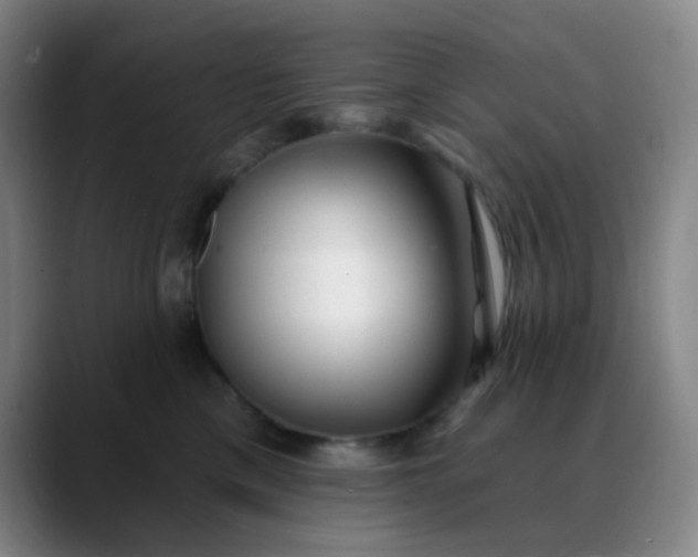 X0000088710425200706141452