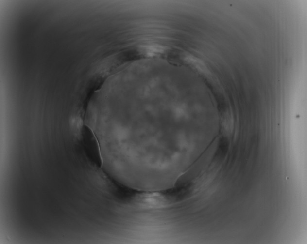 X0000088710427200706141452