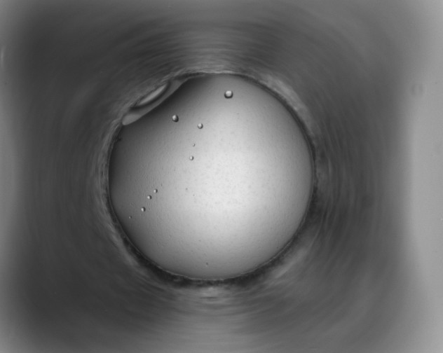 X0000088710433200706141451