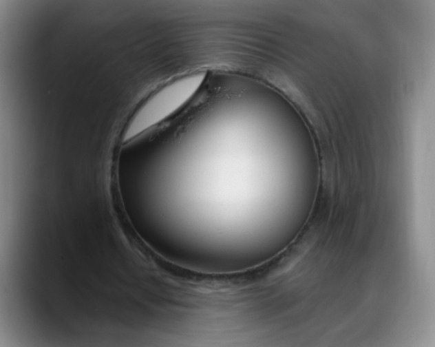 X0000088710434200706141451