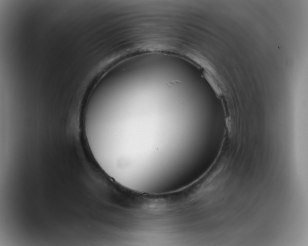 X0000088710438200706141451