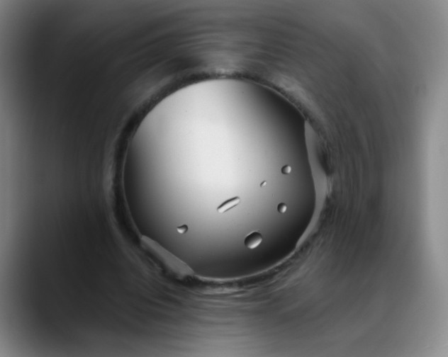 X0000088710440200706141451