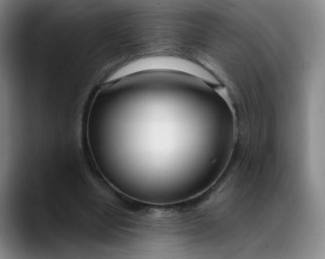 X0000088710442200706141451